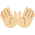 :open_hands:t3: :open_hands:t3:
