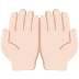 :palms_up_together:t2: :palms_up_together:t2: