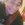 samantha283204 - Original Poster